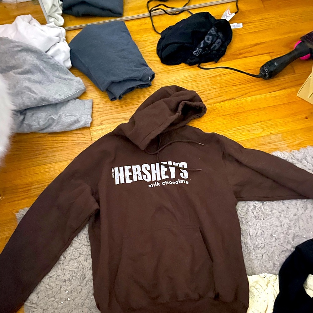 Hershey Park hoodie